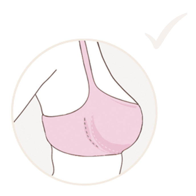 BH-guide-koerbchen-do.jpg__PID:7cae8189-ab50-46c4-a1ea-685f1d75dbd7