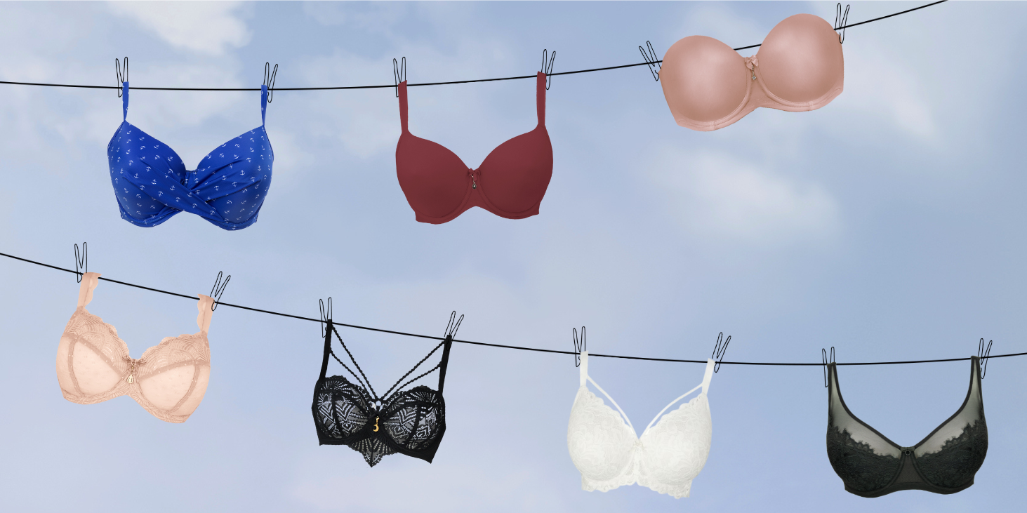 This is what happened after "Die Höhle der Löwen" - eight years, eight highlights!